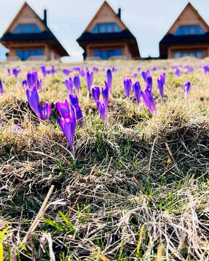 Domki Tatrzanskie Kacina Murzasichle Exterior foto